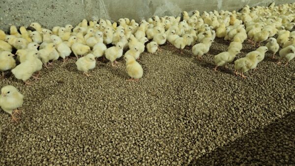 20230801_131218 20230801_131218