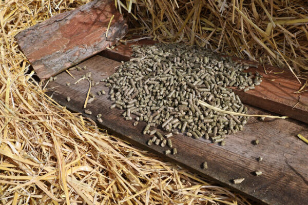 IMG_1639-scaled IMG_1639-scaled