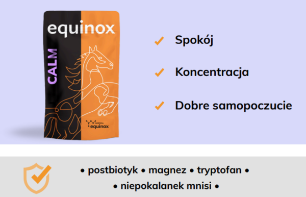 equinox calm 2