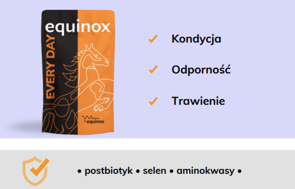 equinox every day 2