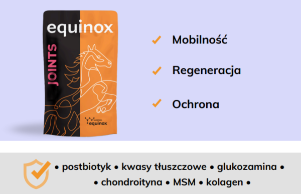 equinox joints 2