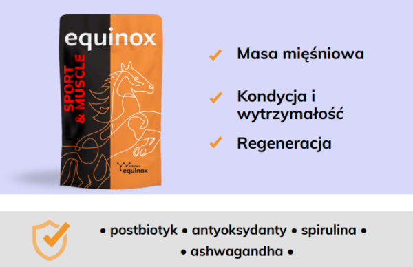 equinox sport i muscle 2